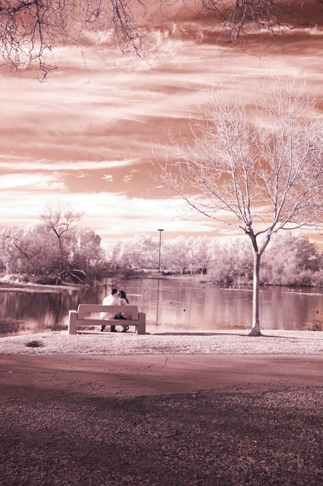 Infrared Engagement Pictures